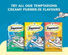 Temptation Creamy Purree Maguro and Scallop Flavor,48 Gm – Cat Treats - at ithinkpets.com (2)