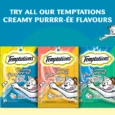 Temptation Creamy Purree Salmon and Cheese Flavor,48 Gm – Cat Treats