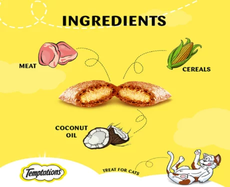 Temptations Salmon Cat Treat, 85 Gms – Cat Treats - at ithinkpets.com (2)