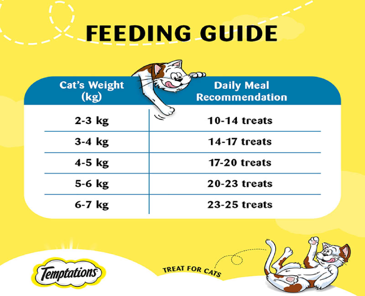 Temptations Salmon Cat Treat, 85 Gms – Cat Treats – at ithinkpets.com (4)