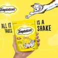 Temptations Chicken Cat Treat, 85 Gms – Cat Treats