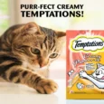 Temptation Creamy Purree Salmon and Cheese Flavor,48 Gm – Cat Treats