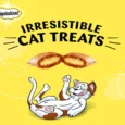 Temptations Salmon Cat Treat, 85 Gms – Cat Treats