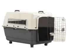 Andes 6 Pet Carrier Holds upto 35 kg Ivory Color for both Dogs and Cats at ithinkpets