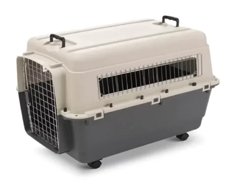 Andes 7 Pet Carrier Holds upto 45 kg Ivory Color for both Dogs and Cats @ithinkpets