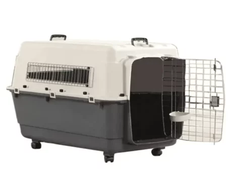 Andes 7 Pet Carrier Holds upto 45 kg Ivory Color for both Dogs and Cats @ithinkpets