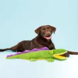 Barkbutler Aly The Gator Plush Dog Toy with Squeaker