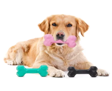 Barkbutler Chu the Bone Dog Toy at ithinkpets