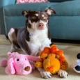 Barkbutler Daisy The Dog Plush Dog Toy with Squeaker