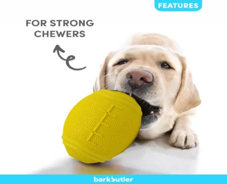 Barkbutler Just a Football Large Breed Dog Toy Ball at ithinkpets
