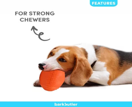 Barkbutler Just a Football,Small Dog Toy Ball at ithinkpets
