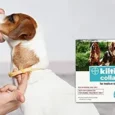 Bayer Elanco Kiltix Flea and Tick Collar for Dogs (2 Sizes)