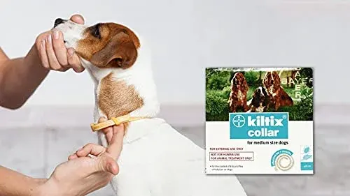 Bayer Kiltix Tick Collar for Puppy and Adult Dogs at ithinkpets (4)
