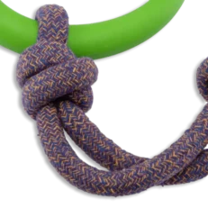 Beco Hoop On Rope Toy for Dogs Green at ithinkpets.com (2)