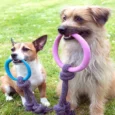 Beco Hoop On Rope Toy for Dogs, Pink