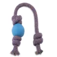 Beco Rubber Ball On Rope Toy for Dogs, Blue