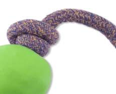 Beco Rubber Ball On Rope Toy for Dogs Green at ithinkpets.com (2)