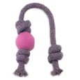 Beco Rubber Ball On Rope Toy for Dogs, Pink