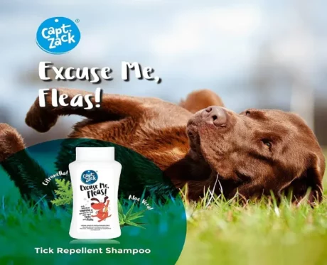 Captain Zack Excuse Me Fleas Dog Shampoo at ithinkpets.com (2)