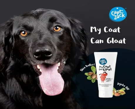 Captain Zack My Coat can Gloat Conditioner Dogs and Cats 100 Gms at ithinkpets.com (2)