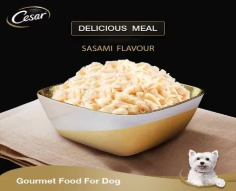 Cesar Gourmet Meal Sasami at ithinkpets.com