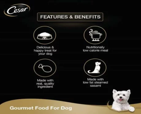 Cesar Sasami and Vegetables at ithinkpets.com