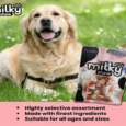 Dogaholic Milky Chew Chicken Bone Style Dog Treat 10 pcs 140 Gms