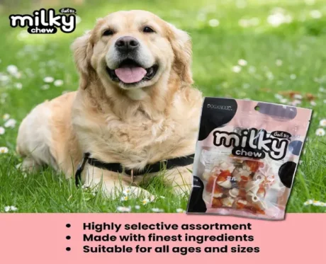 Dogaholic Milky Chew Chicken Bone Style Puppies & Adult Dog Treat 10 pcs at ithinkpets
