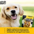 Dogaholic Milky Chicken and Cheese Bone Style Dog Treat 10 pcs 150 Gms