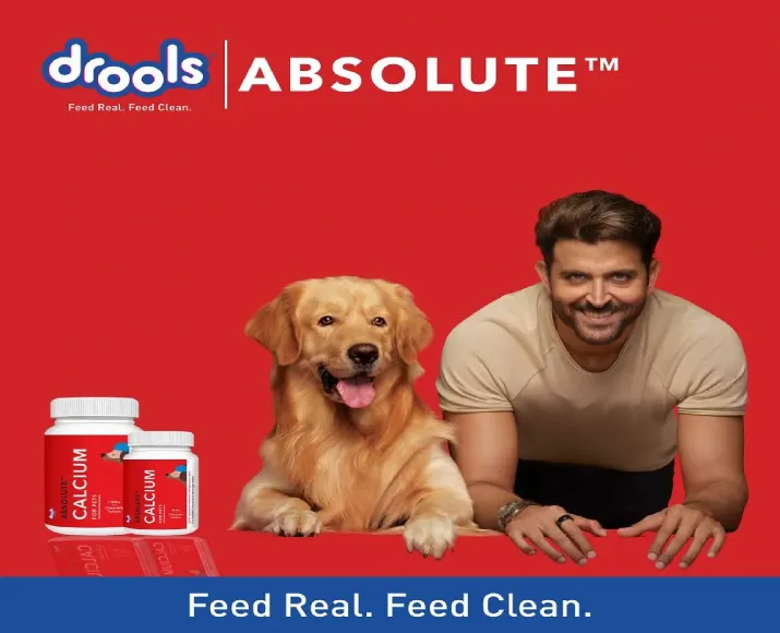 Drools Absolute Calcium Tablet at ithinkpets.com