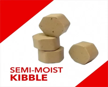 Drools Absolute Calcium Tablet at ithinkpets.com