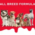 Drools Absolute Milk Bone Jar Calcium bones for dogs