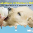 Drools Absolute Milk 500 Gms for New Born Puppy/Starters