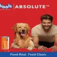 Drools Absolute Salmon Oil Syrup Dog Supplement 300ml Puppies and Adult Dogs