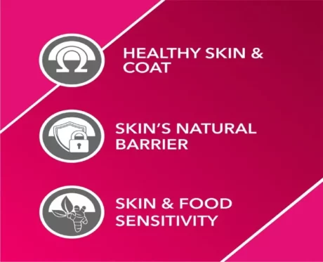 Drools Absolute Skin and Coat Tablet at ithinkpets.com