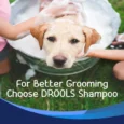 Drools Combo of Anti-Dandruff and Itch Shampoo for Dogs, 200ml with 1 Free Bathing and Grooming Hand Brush