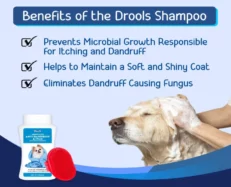 Drools Combo of Anti-Dandruff and Itch Shampoo for Dogs at ithinkpets.com