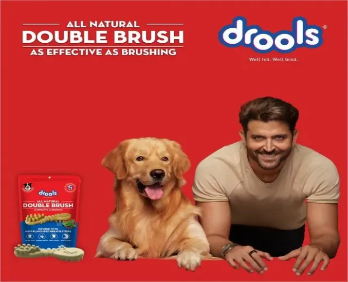 Drools Double Brush Dental Treat at ithinkpets.com