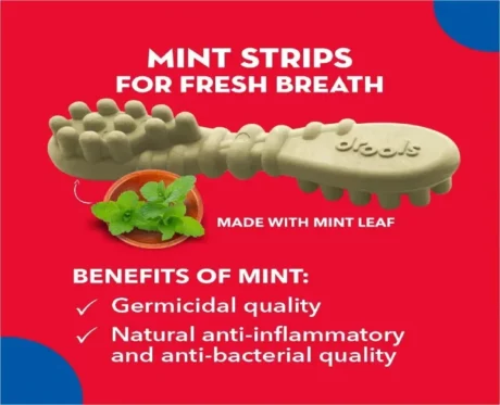Drools Double Brush Dental Treat for Large Breed dogs at ithinkpets.com