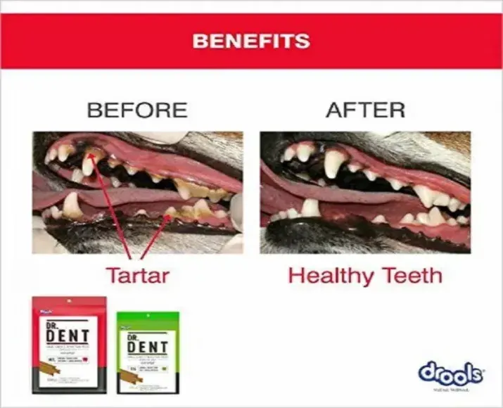 Drools Dr Dent Oral Care Dog Dental Treats Dog Treats at ithinkpets (1)