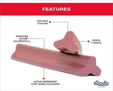 Drools Dr Dent Oral Care Dog Dental Treats Dog Treats at ithinkpets