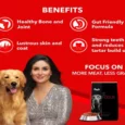 Drools Focus Adult Super Premium Dog Food 4kg – All Breed Dog Food