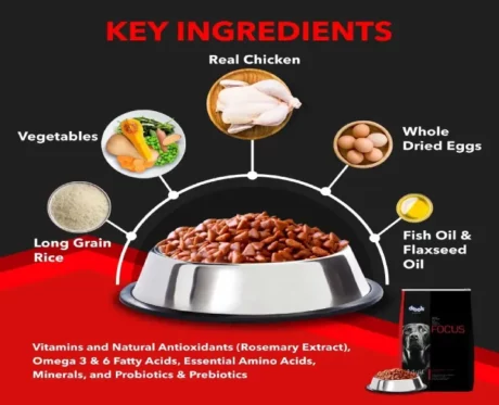 Drools Focus Adult Super Premium Dog Food at ithinkpets.com