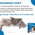 Drools Kitten Booster, Kitten Weaning Diet for All Breeds, 300g