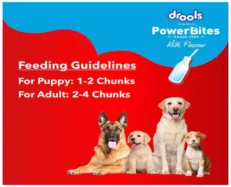 Drools Power Bites Milk Flavour Real Chicken Dog Treats at ithinkpets.com