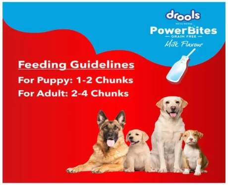 Drools Power Bites Milk Flavour Real Chicken Dog Treats at ithinkpets.com