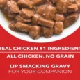 Drools Real Chicken and Chicken Liver Chunks in Gravy Adult Dog Wet Food, 150 Gms