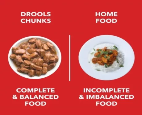 Drools Real Chicken and Chicken Liver Chunks in Gravy Adult Wet Food at ithinkpets.com