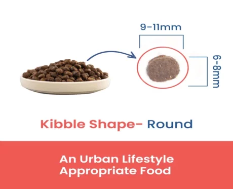 Fabled Gentle Giant Puppy Large Breed Recipe Dry Dog Food, With Fresh Chicken, Turkey And Duck at ithinkpets