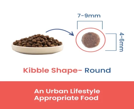 Fabled Grow Little One Puppy Small Breed Recipe Dry Dog Food, With Fresh Chicken, Turkey And Duck at ithinkpets